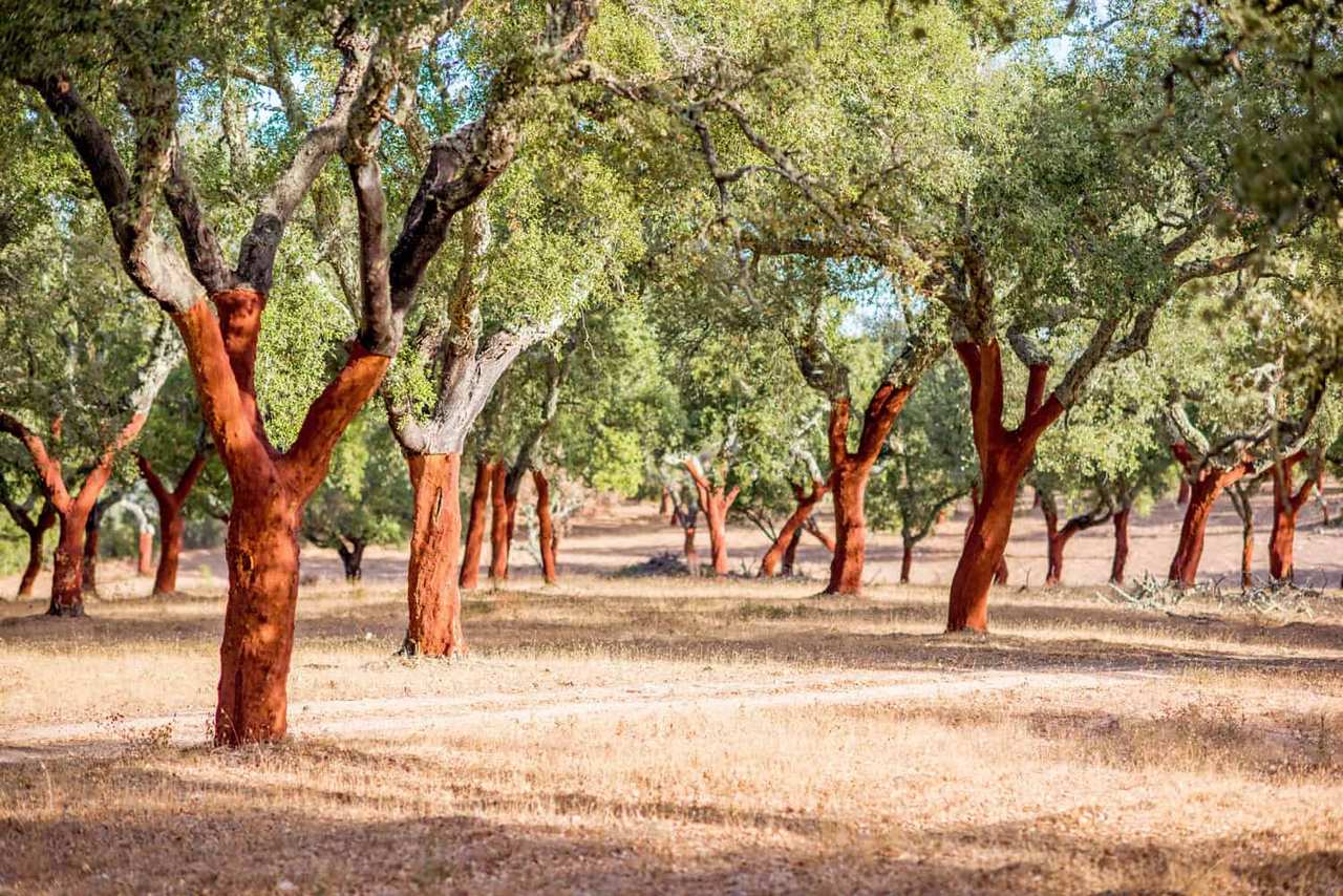 Natural Materials in Yoga: Cork, Wool & Linen