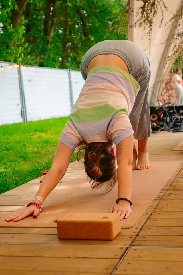Rock Werchter Downward Dog Block Grass