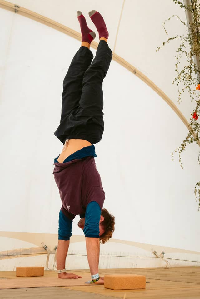 Rock Werchter Handstand Tent Flowers Wall