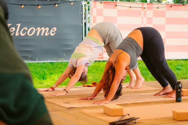 Rock Werchter Downward Dog Pair Welcome