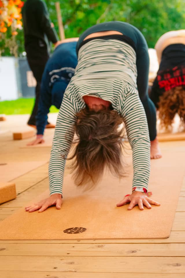 Rock Werchter Downward Dog Striped Row