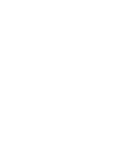 Viluz Retreat Logo