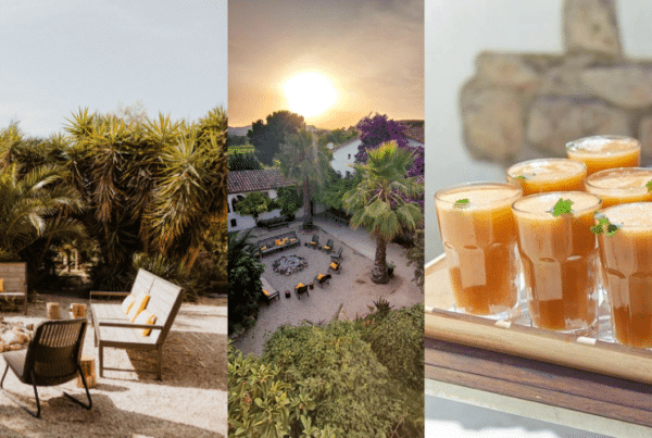 Un collage représentant un coin salon autour d'un foyer extérieur avec des palmiers, un coucher de soleil sur une villa et un plateau de jus de fruits sains.